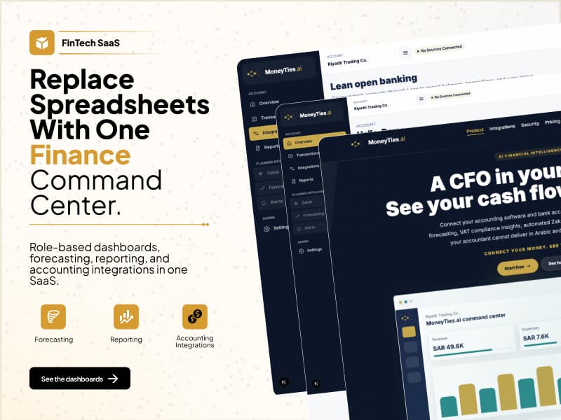 MoneyTies financial intelligence case study cover